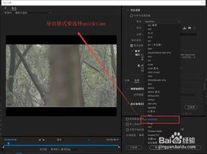 pr怎么导出视频格式,轻松掌握多种视频格式生成技巧