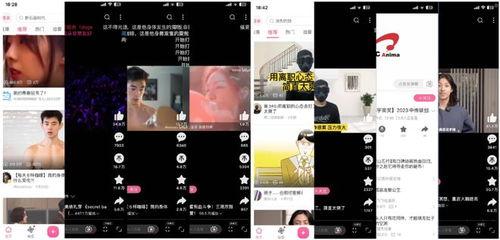 日b视频播放,揭秘热门内容背后的魅力与争议