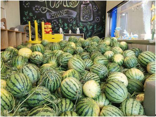 51cg10今日吃瓜反差,今日吃瓜反差，揭秘娱乐圈背后的真实故事