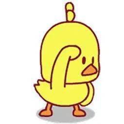 小黄鸭视频,萌趣互动，治愈心灵