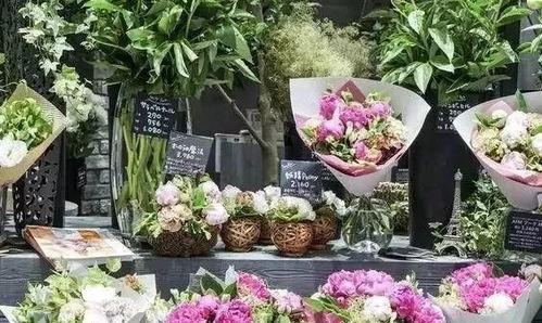 今日吃瓜-唐山花店,今日吃瓜，花艺生活新风尚