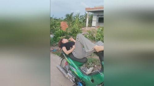 网蛇视频,惊心动魄的生态奇观