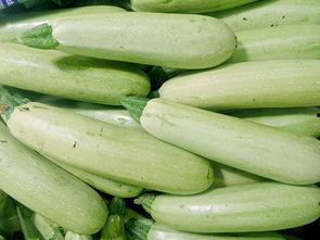 云南扁瓜今日价格,市场波动下的价格走势分析