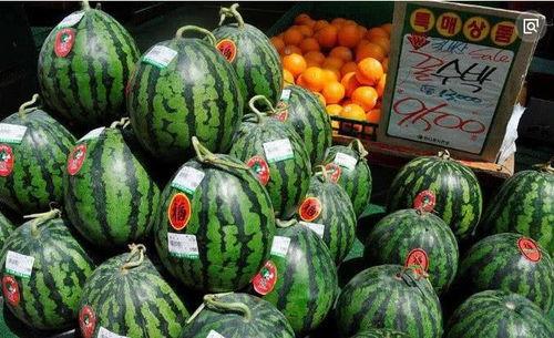 吃瓜爆料博主卖东西,吃瓜爆料博主带你解锁购物新体验