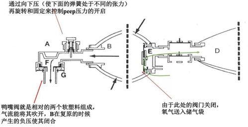 呼吸气囊操作视频,呼吸气囊操作步骤详解与实操演示