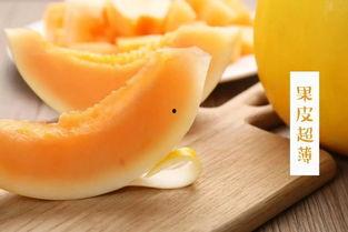 金红宝蜜瓜今日多少钱一斤,价格几何，甜蜜来袭！”