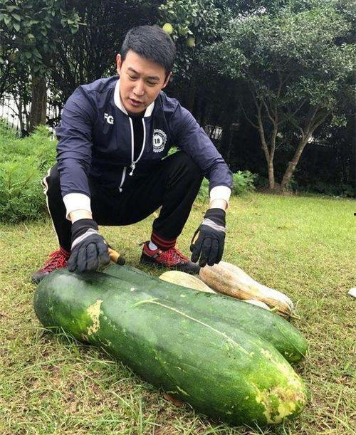 左各庄吃瓜最新事件爆料,揭秘背后惊人真相