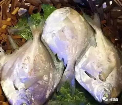 潮汕咸视频,探寻潮汕文化魅力与生活百态