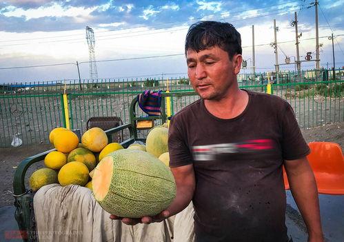 北海哈密瓜今日多少钱一斤,价格几何？”