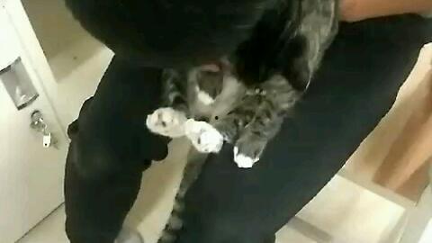 撸管的视频,揭秘网络诱惑背后的真相