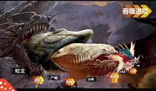 山海经游戏视频,探寻山海经中的神秘世界