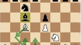 国际象棋对局视频