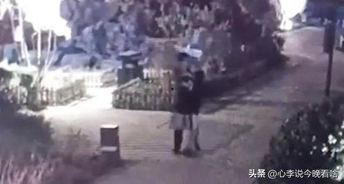 吃瓜爆料打架视频完整版,打架视频完整版事件始末