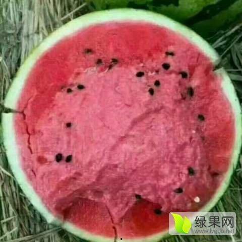 铁瓜今日行情,今日市场动态一览