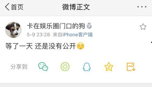 沈阳吃瓜爆料公众号