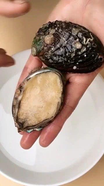 鲍鱼怎么处理视频,视频教程详解