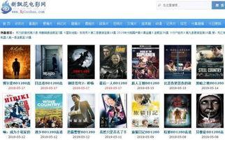 大片视频免费观看,揭秘免费观看热门视频的秘诀