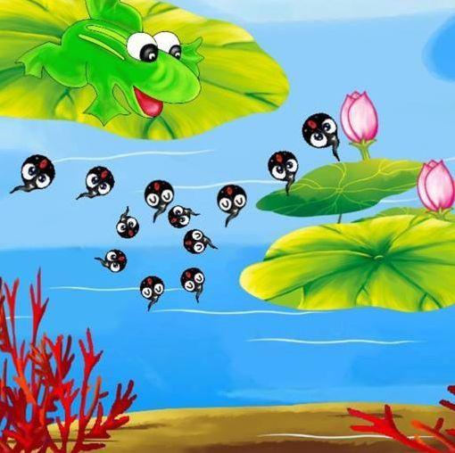 小蝌蚪找妈妈视频,一场寻找妈妈的温馨之旅