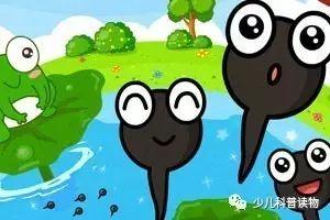 小蝌蚪找妈妈视频,一场寻找妈妈的温馨之旅