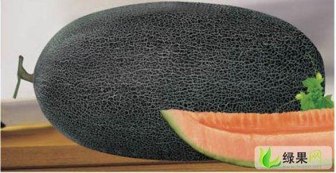 今日哈密瓜日本价位,价格飙升背后的故事