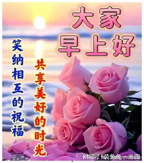 早上好短视频,探寻“早上好”短视频的魅力