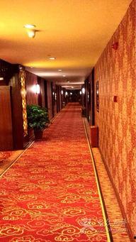 东莞会所视频,奢华背后的真相