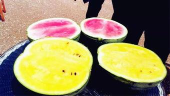 郑州吃瓜爆料,揭秘城市热点事件背后的真相