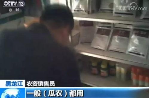 吃瓜爆料视频观看,吃瓜爆料视频背后的惊人真相