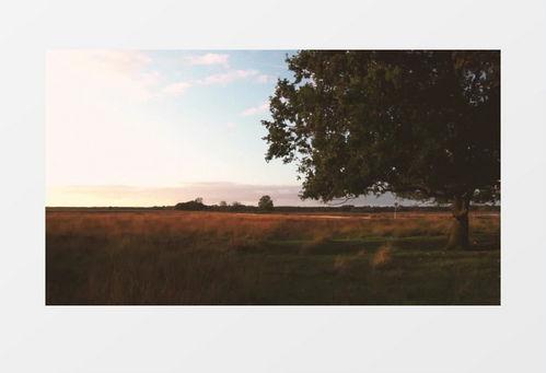风景视频无水印,探寻风景视频的无水印之美