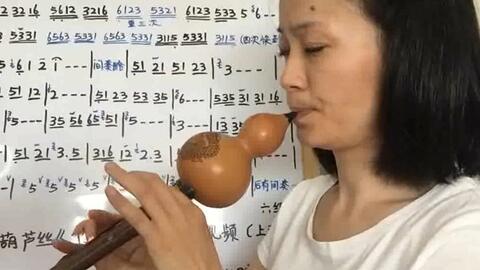 葫芦丝入门教学视频,入门教学视频精华解析