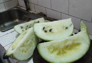 晋城鲜瓜价格今日价