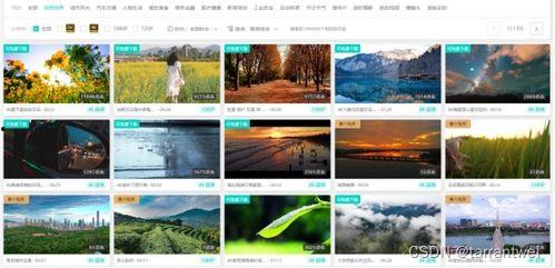 短视频素材库,创意无限，轻松打造爆款内容