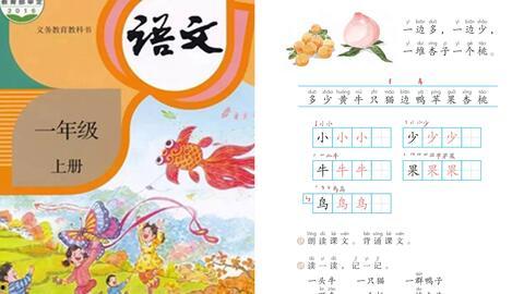 一年级视频,趣味学习，快乐成长之旅