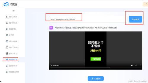 网页视频提取器,轻松获取在线视频内容