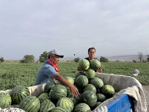 吃瓜爆料缅北是真的吗,吃瓜爆料，事实与谣言的交织