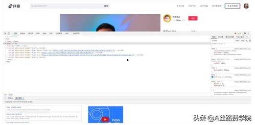 大黄网站视频,精彩瞬间回顾