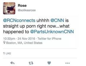 国外毛片视频,内容、影响及反思