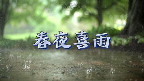 春夜喜雨朗读视频,诗意盎然，感受雨中诗意之美