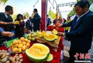 金乡吃瓜最新事件爆料,揭秘背后惊人真相！