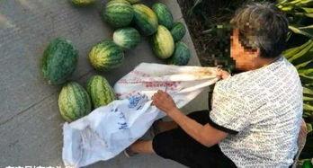 金乡吃瓜最新事件爆料,揭秘背后惊人真相！