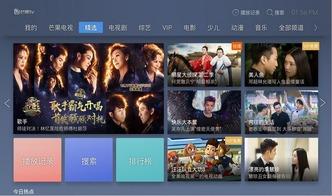 完全视频,创新内容与互动体验的完美融合