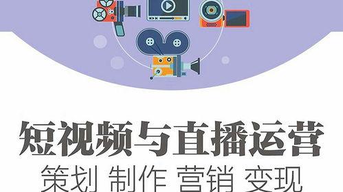 短视频策划,打造爆款内容的秘诀解析