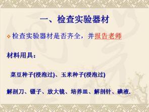 观察种子的结构实验视频,实验视频揭示种子结构全解析